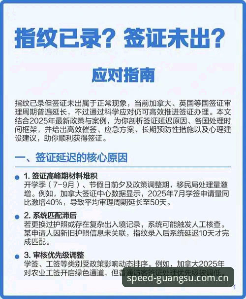 世界杯观赛受阻？从约旦球迷困境看签证问题的实用应对指南